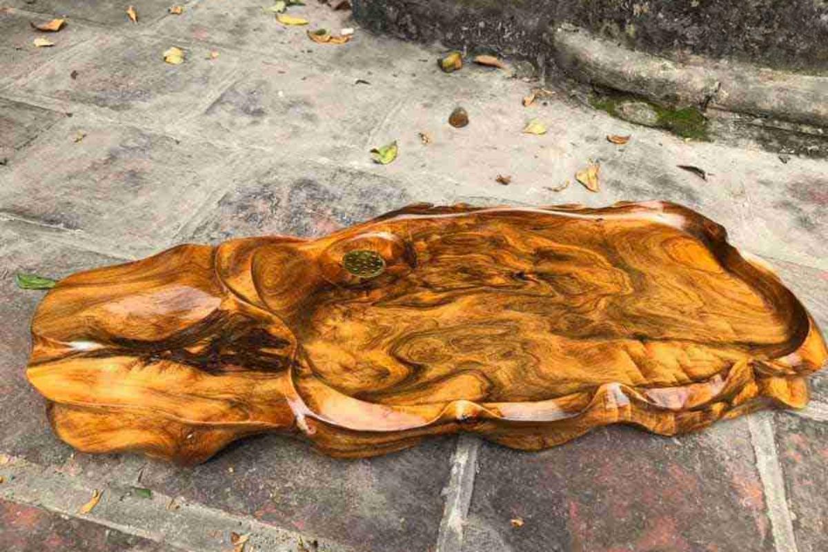 Gỗ bách xanh: đặc điểm, báo giá và ứng dụng trong thực tế