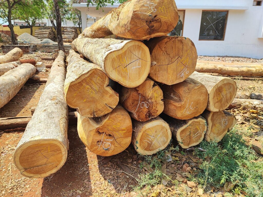 Giác gỗ dày và lõi gỗ có màu đậm hơn giúp tạo vẻ đẹp riêng cho các sản phẩm nội thất (Nguồn: sưu tầm)