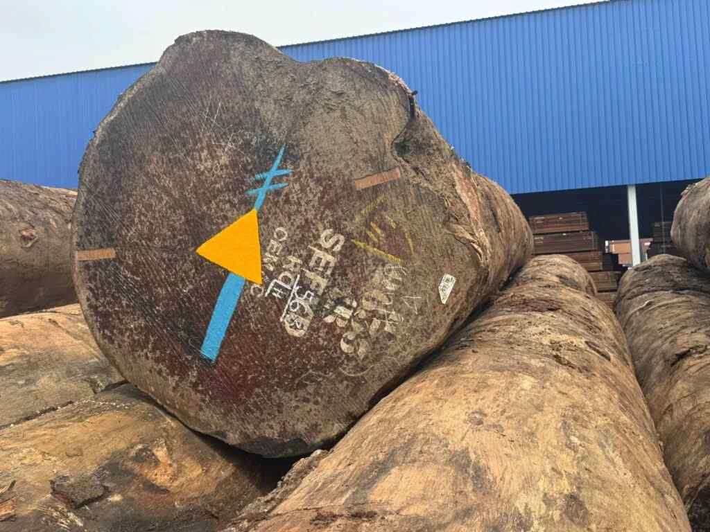 Gỗ già và trọng lượng nặng, vân gỗ tự nhiên và màu đậm hơn (Nguồn: sưu tầm)