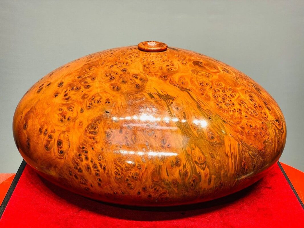 Gỗ nu là gì? Đặc điểm, phân loại và ứng dụng trong đời sống