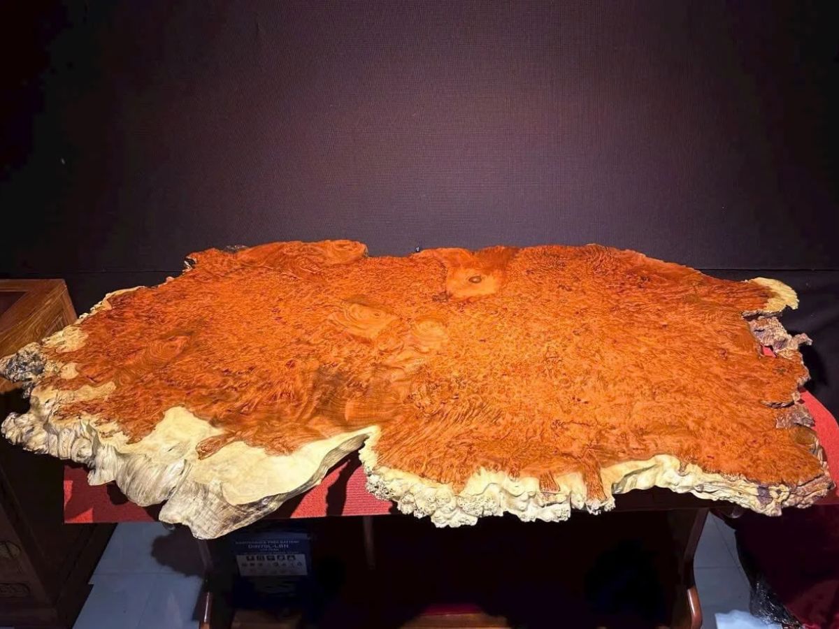 Gỗ nu hương có vân gỗ xoắn tự nhiên (Nguồn: Sưu tầm)