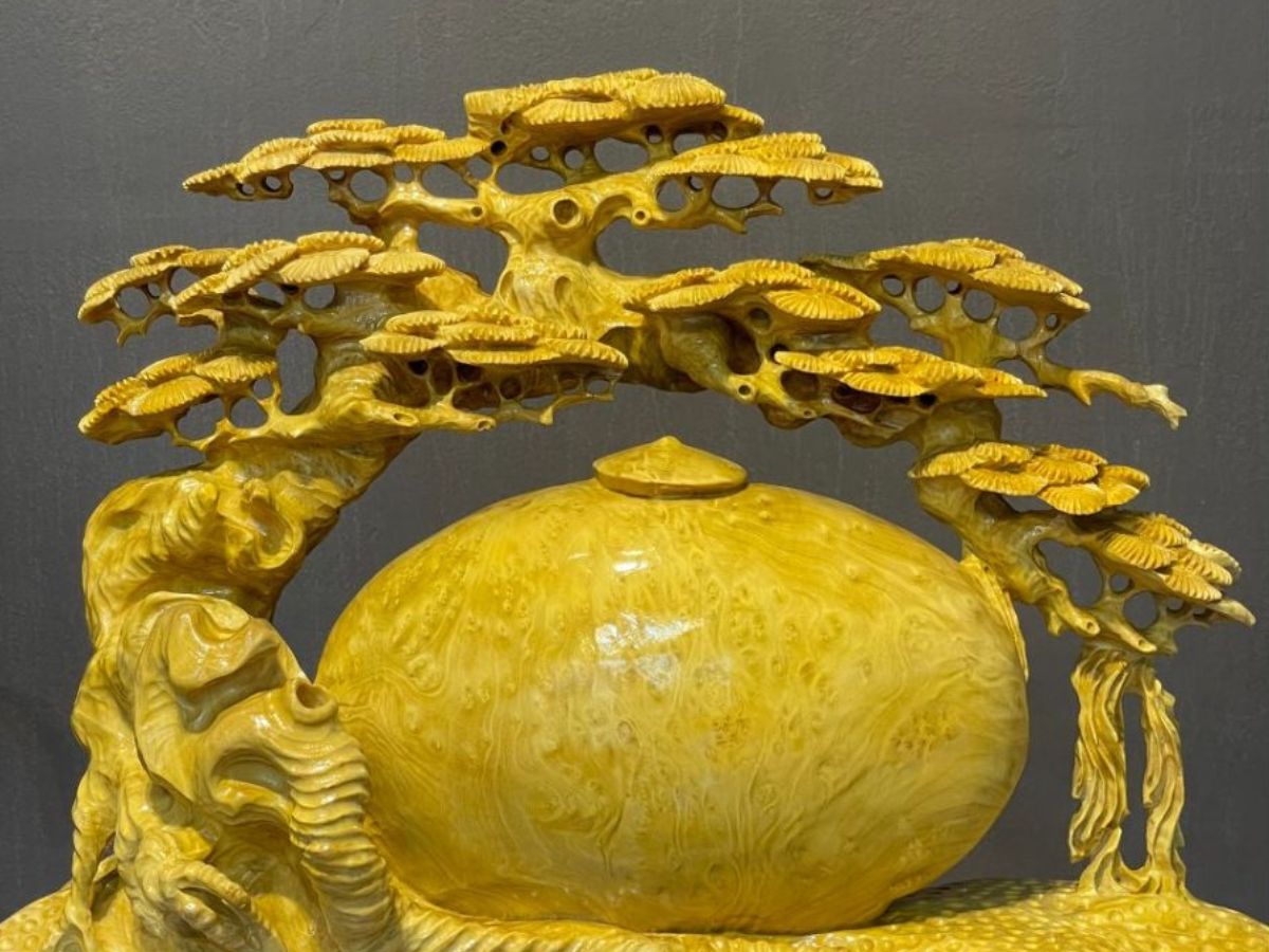 Gỗ nu kháo thường có màu vàng sáng hoặc nâu vàng (Nguồn: Sưu tầm)