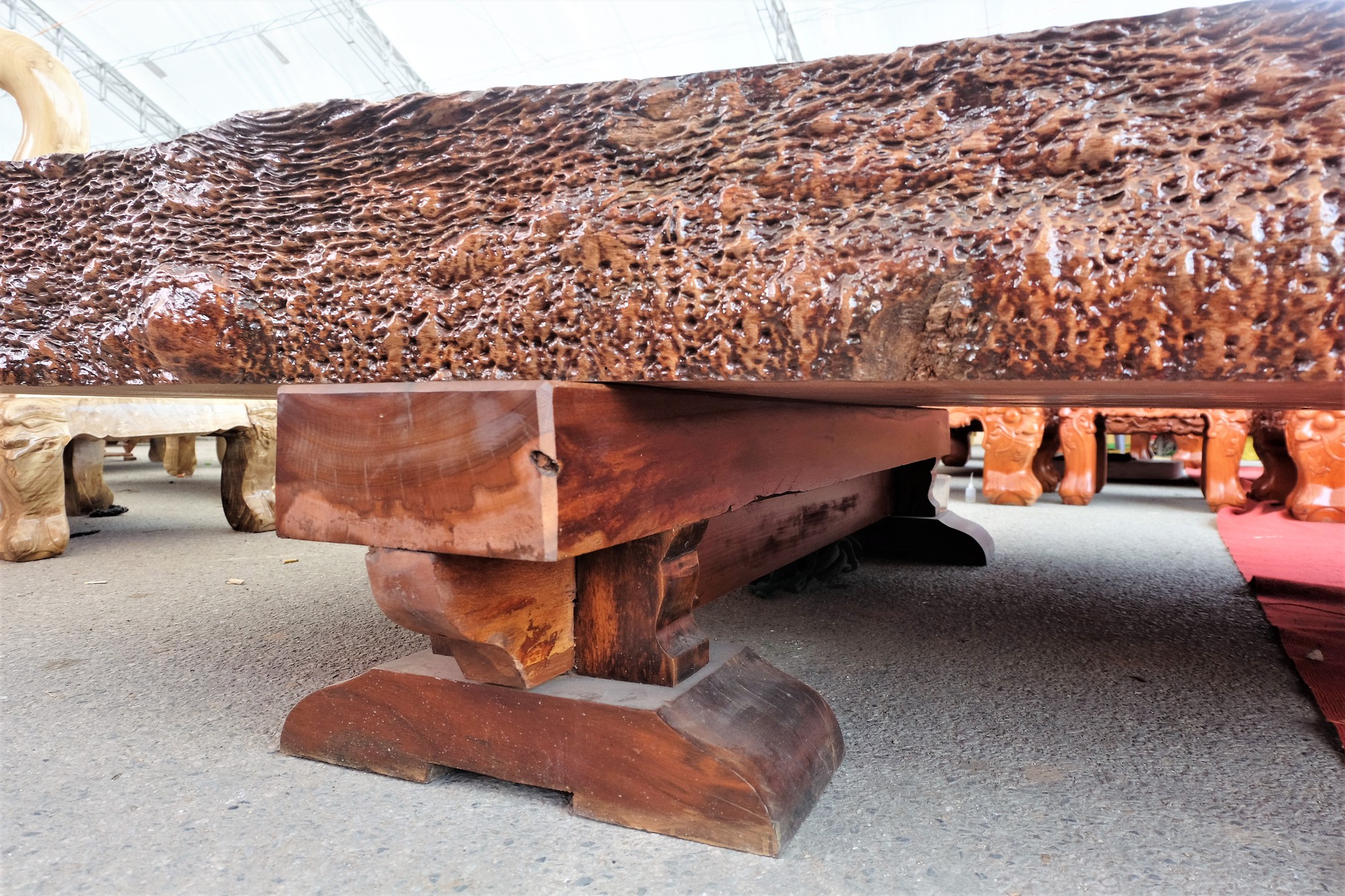 Gỗ nu được tạo lên từ những tổn thương tự nhiên trên thân cây (Nguồn: Sưu tầm)