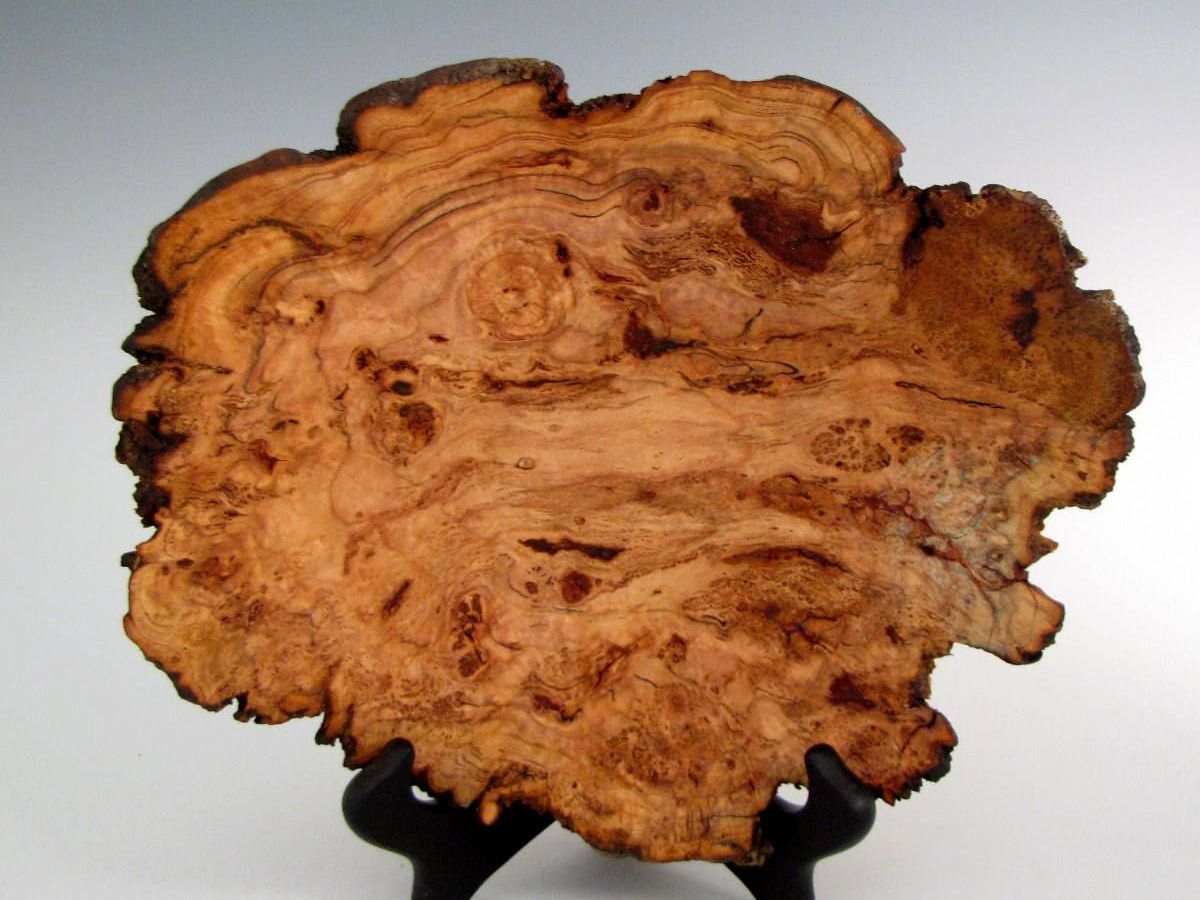 Vân gỗ nu có hoa văn xoắn, lượn sóng và bề mặt sần sùi (Nguồn: Sưu tầm)