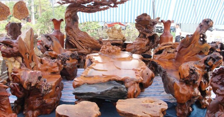 Tìm hiểu về gỗ trai, báo giá và ứng dụng trong đời sống