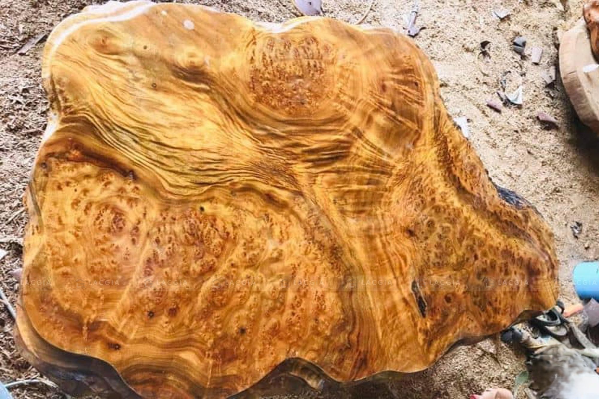 Thịt gỗ xá xị chắc chắn, bền bỉ (Nguồn: sưu tầm)