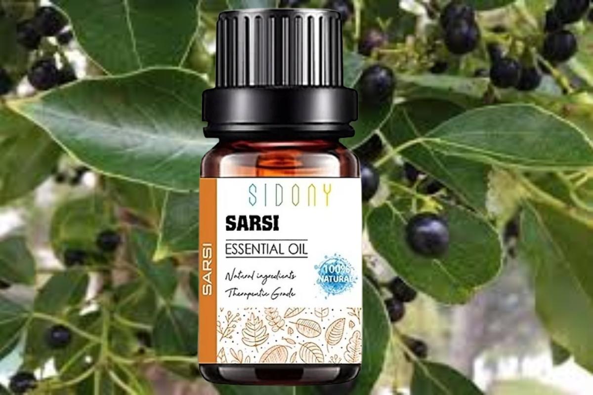 Tinh dầu xá xị giúp điều tiết da dầu, chống các vết nhăn cho da (Nguồn: sưu tầm)