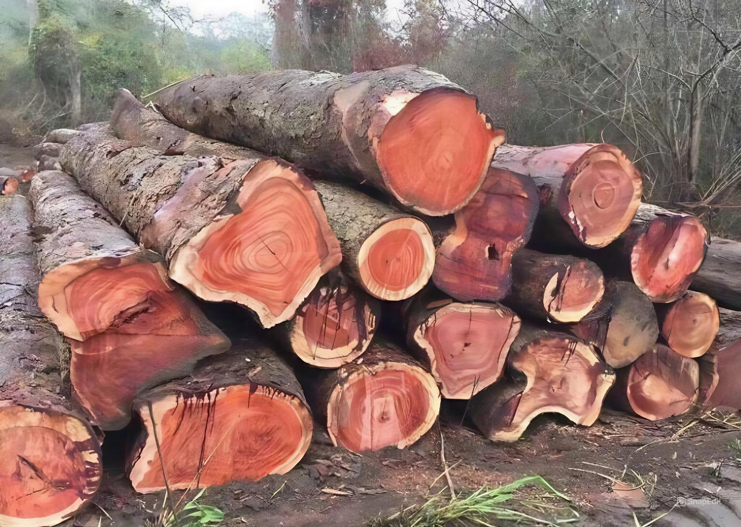 Vân gỗ xếp lớp uốn lượn kết hợp tông màu đỏ hồng nhẹ nhàng tinh tế (Nguồn: sưu tầm)