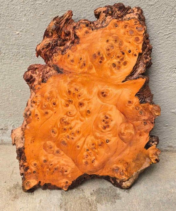 Khay trà gỗ nu huyết long dài 30 rộng 24 dày 2 1